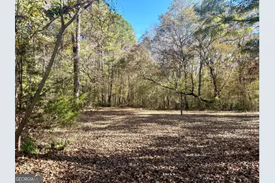 579 Barnesville Road, Griffin, GA 30224 - Photo 48