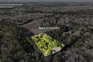 0 Giles Rd, Fort Valley, GA 31030 - Photo 1