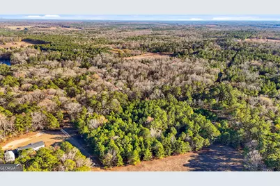 0 Giles Road, Fort Valley, GA 31030 - Photo 8