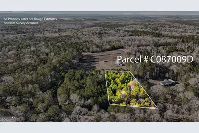 0 Giles Road, Fort Valley, GA 31030 - Photo 1