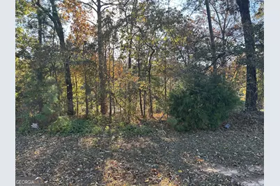 407 Arlington Falls Court, Bonaire, GA 31005 - Photo 2