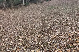 56 Carin Ln, Lakemont, GA 30552 - Photo 14