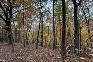 355 Orieole Ct, Ranger, GA 30734 - Photo 1