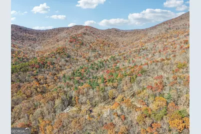 105 Thurmond Walker Road, Dahlonega, GA 30533 - Photo 94