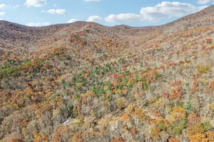 105 Thurmond Walker Rd, Dahlonega, GA 30533 - Photo 94