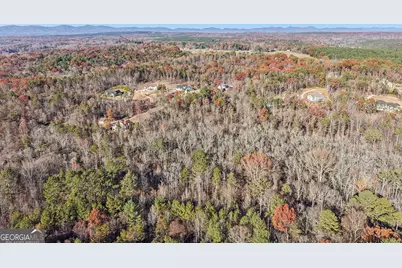 29 Pigeon Creek Drive, Dawsonville, GA 30534 - Photo 10