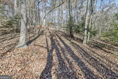 29 Pigeon Creek Drive, Dawsonville, GA 30534 - Photo 14