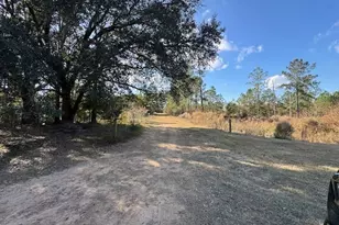 115 Wynn Dr, Albany, GA 31705 - Photo 40