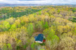 132 Short Holw Rd, Trion, GA 30753 - Photo 46