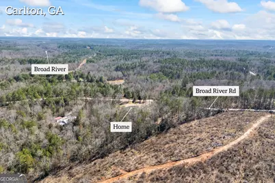 737 Broad River Road, Carlton, GA 30627 - Photo 10