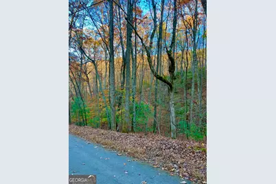 296 Valley View Road, Ellijay, GA 30536 - Photo 18