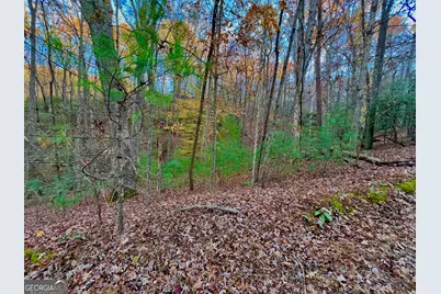 296 Valley View Road, Ellijay, GA 30536 - Photo 10