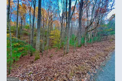 296 Valley View Road, Ellijay, GA 30536 - Photo 6