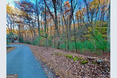 296 Valley View Road, Ellijay, GA 30536 - Photo 12