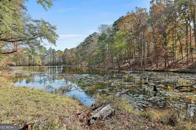 218 Quail Drive, Zebulon, GA 30295 - Photo 36