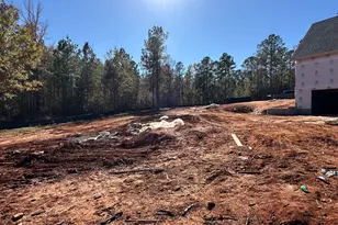 151 Nancy Lane, Forsyth, GA 31029 - Photo 10