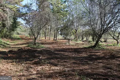 46 Buck Gardner Road, Menlo, GA 30731 - Photo 36