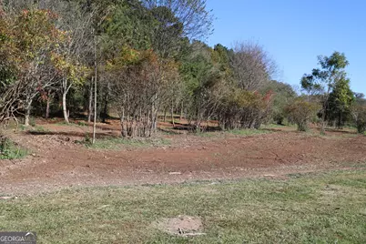 46 Buck Gardner Road, Menlo, GA 30731 - Photo 16