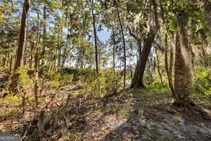 8 W London Hill Rd, Woodbine, GA 31569 - Photo 28