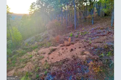 0 Canoe Way #LOT 266, Talking Rock, GA 30175 - Photo 2
