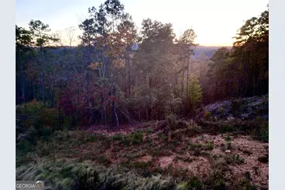 0 Canoe Way #LOT 266, Talking Rock, GA 30175 - Photo 4