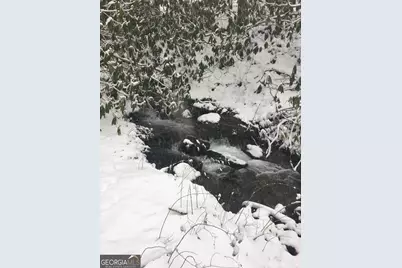 2965 Tate City Road #NC SIDE, Clayton, GA 30525 - Photo 44