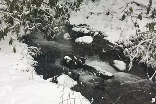 2965 Tate City Rd, Clayton, GA 30525 - Photo 44