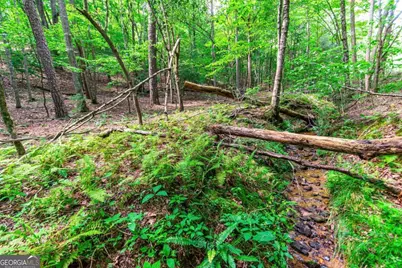 Lot 22 Meadow Brook Trail #22, Morganton, GA 30560 - Photo 18