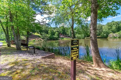 Lot 22 Meadow Brook Trail #22, Morganton, GA 30560 - Photo 62