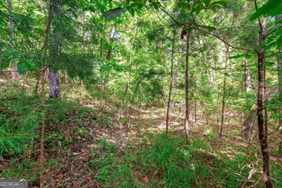 Lot 22 Meadow Brook Trail #22, Morganton, GA 30560 - Photo 10