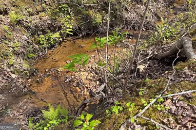Lot 22 Meadow Brook Trail #22, Morganton, GA 30560 - Photo 22