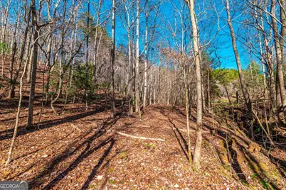 Lot 22 Meadow Brook Trail #22, Morganton, GA 30560 - Photo 36