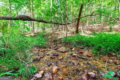 Lot 22 Meadow Brook Trail #22, Morganton, GA 30560 - Photo 16