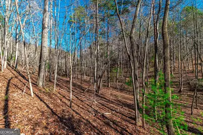 Lot 22 Meadow Brook Trail #22, Morganton, GA 30560 - Photo 40
