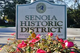 480 Werner Wy, Senoia, GA 30276 - Photo 82