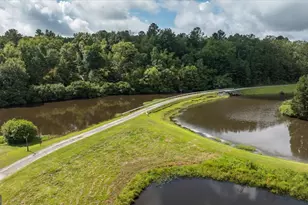 13 Southern Waters Way, Forsyth, GA 31029 - Photo 70