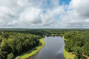 13 Southern Waters Way, Forsyth, GA 31029 - Photo 2