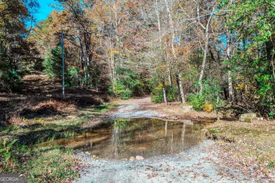 339 Wehunt Road, Blue Ridge, GA 30513 - Photo 74