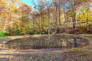 339 Wehunt Rd, Blue Ridge, GA 30513 - Photo 42