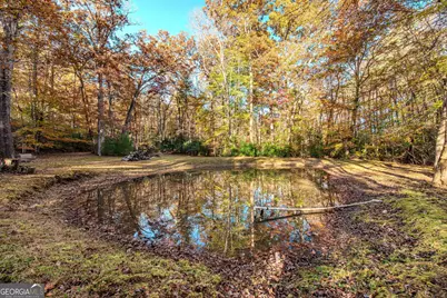 339 Wehunt Road, Blue Ridge, GA 30513 - Photo 76