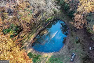 339 Wehunt Rd, Blue Ridge, GA 30513 - Photo 10