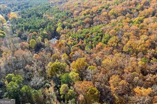 938 Marion Dairy Road SE, Lindale, GA 30147 - Photo 40