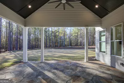 250 Bob Smith Road, Sharpsburg, GA 30277 - Photo 66