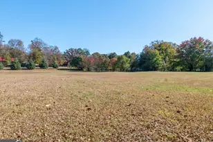 13819 Woolsey Rd, Hampton, GA 30228 - Photo 26