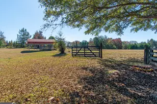 13819 Woolsey Rd, Hampton, GA 30228 - Photo 46