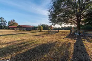 13819 Woolsey Rd, Hampton, GA 30228 - Photo 22