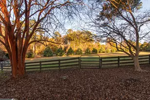 13819 Woolsey Rd, Hampton, GA 30228 - Photo 24