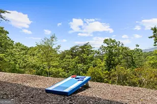 351 Black Dog Trail, Morganton, GA 30560 - Photo 36