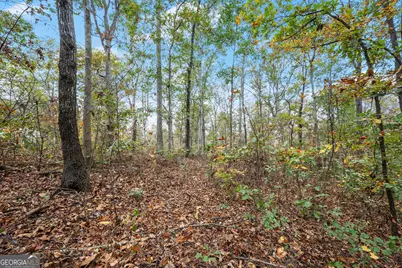 9 Dons Court, Royston, GA 30662 - Photo 24