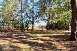 5611 Sweetwater Ave, Donalsonville, GA 39845 - Photo 24